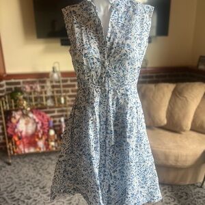 Floral Blue and White Sleeveless Dress